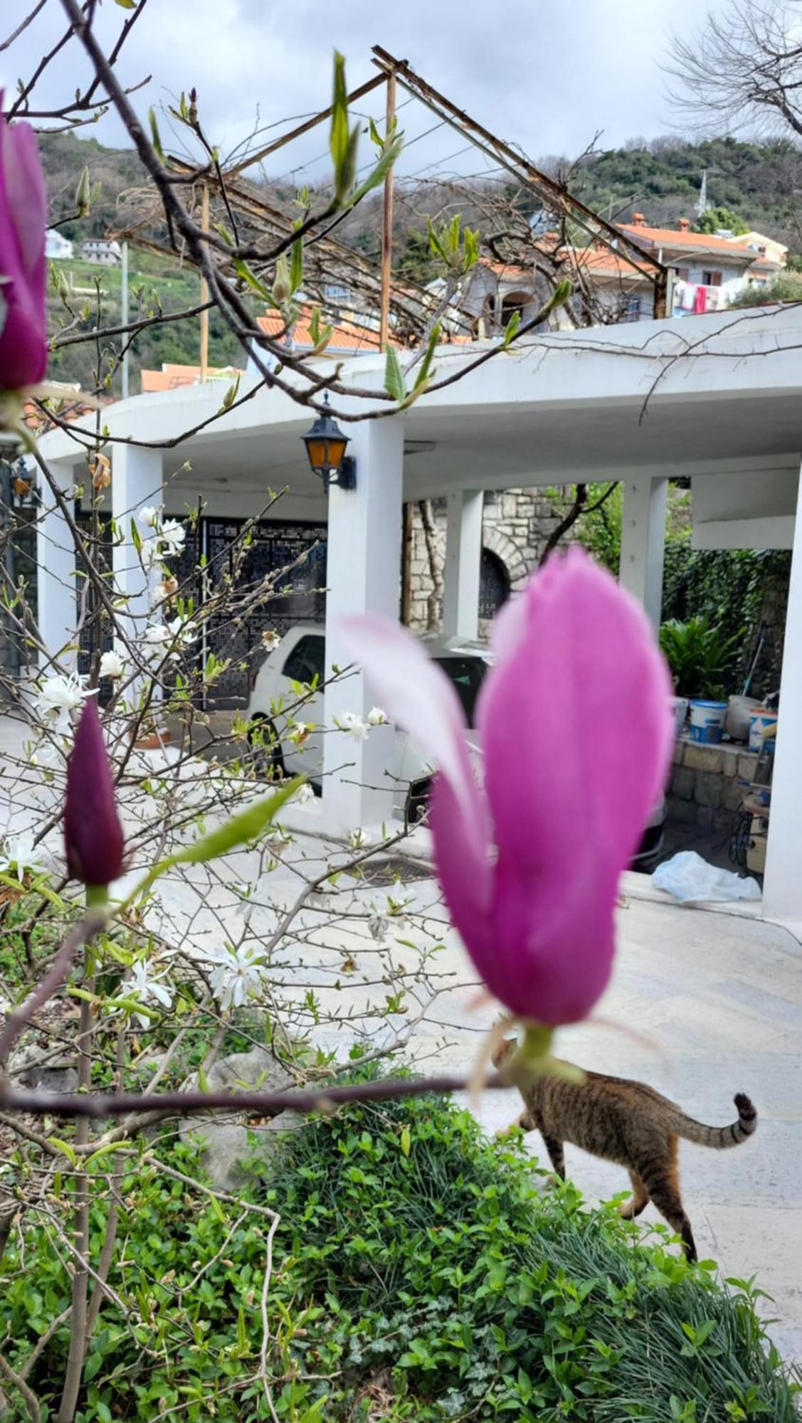 Studio Apartman Sa Pogledom Na More Meljine Kültér fotó