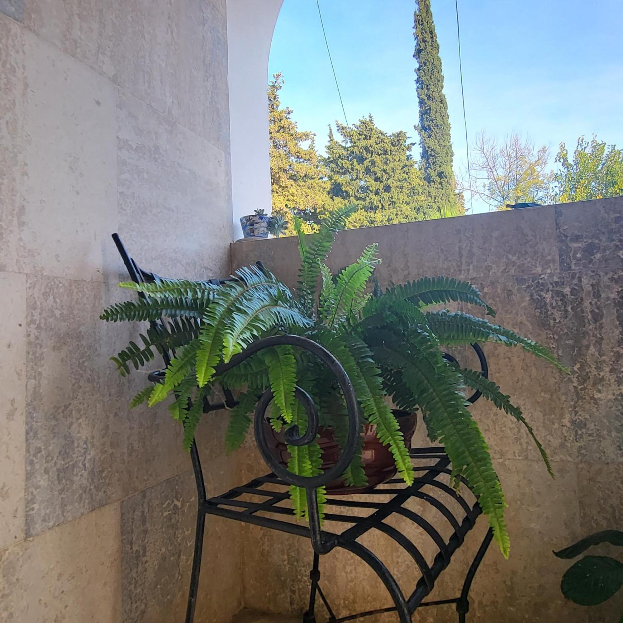 Studio Apartman Sa Pogledom Na More Meljine Kültér fotó