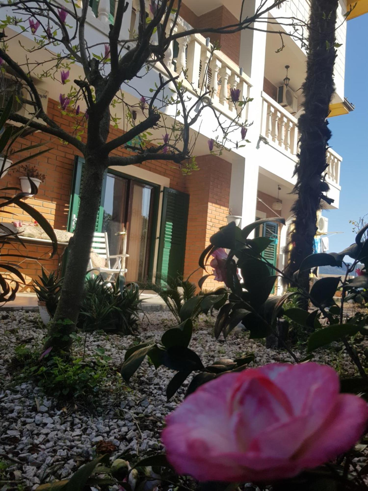 Studio Apartman Sa Pogledom Na More Meljine Kültér fotó
